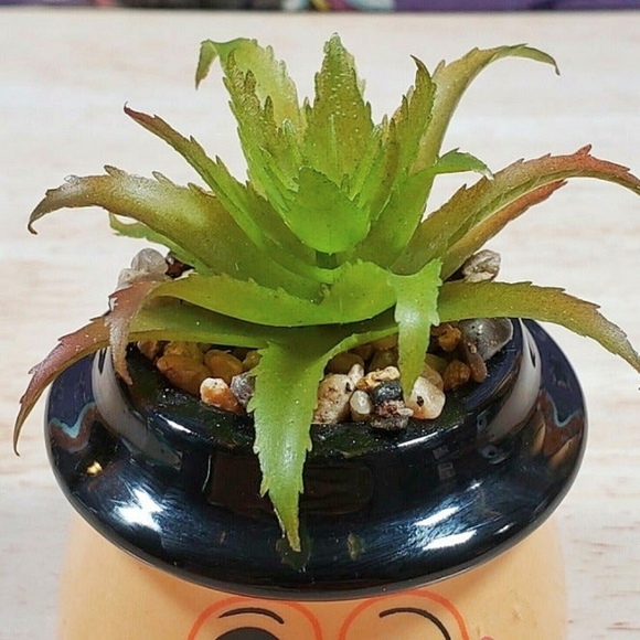 Disney Nightmare Before Christmas The Mayor 3.5" Faux Mini Succulent Plant - Picture 7 of 9